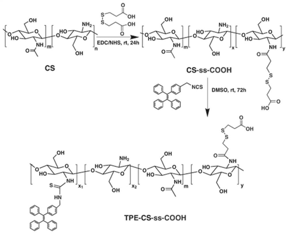 Preparation method of a reduction-responsive water-soluble chitosan-based aggregation-induced luminescent fluorescent probe