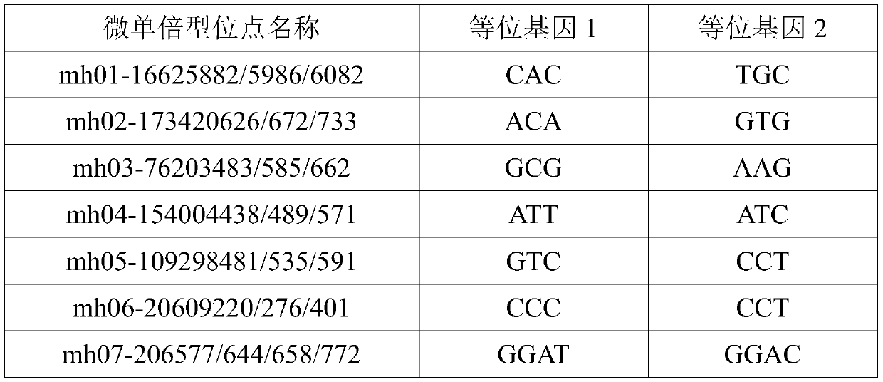 Multiplex amplification system, and next generation sequencing typing kit and typing method for 21 micro-haplotype sites