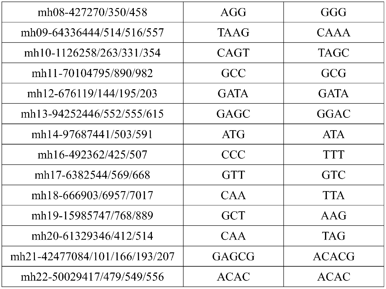 Multiplex amplification system, and next generation sequencing typing kit and typing method for 21 micro-haplotype sites