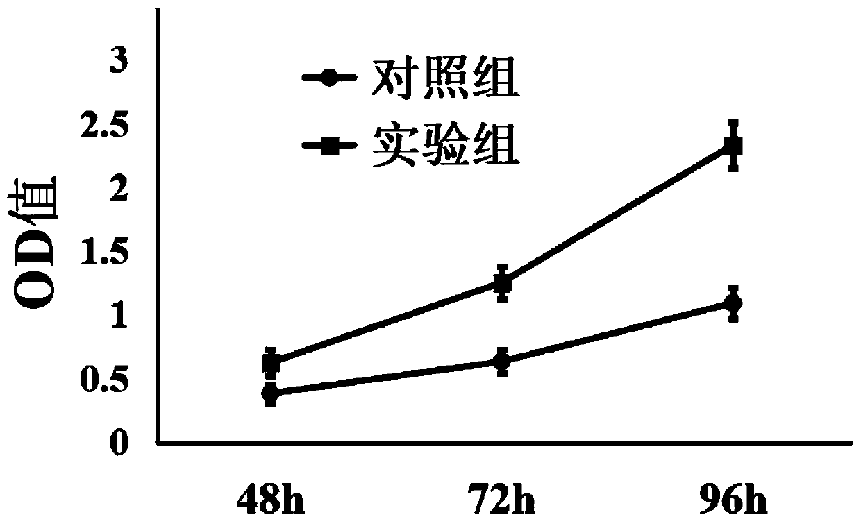 Application of natural small molecular compound to inducing osteogenic differentiation of umbilical cord mesenchymal stem cells