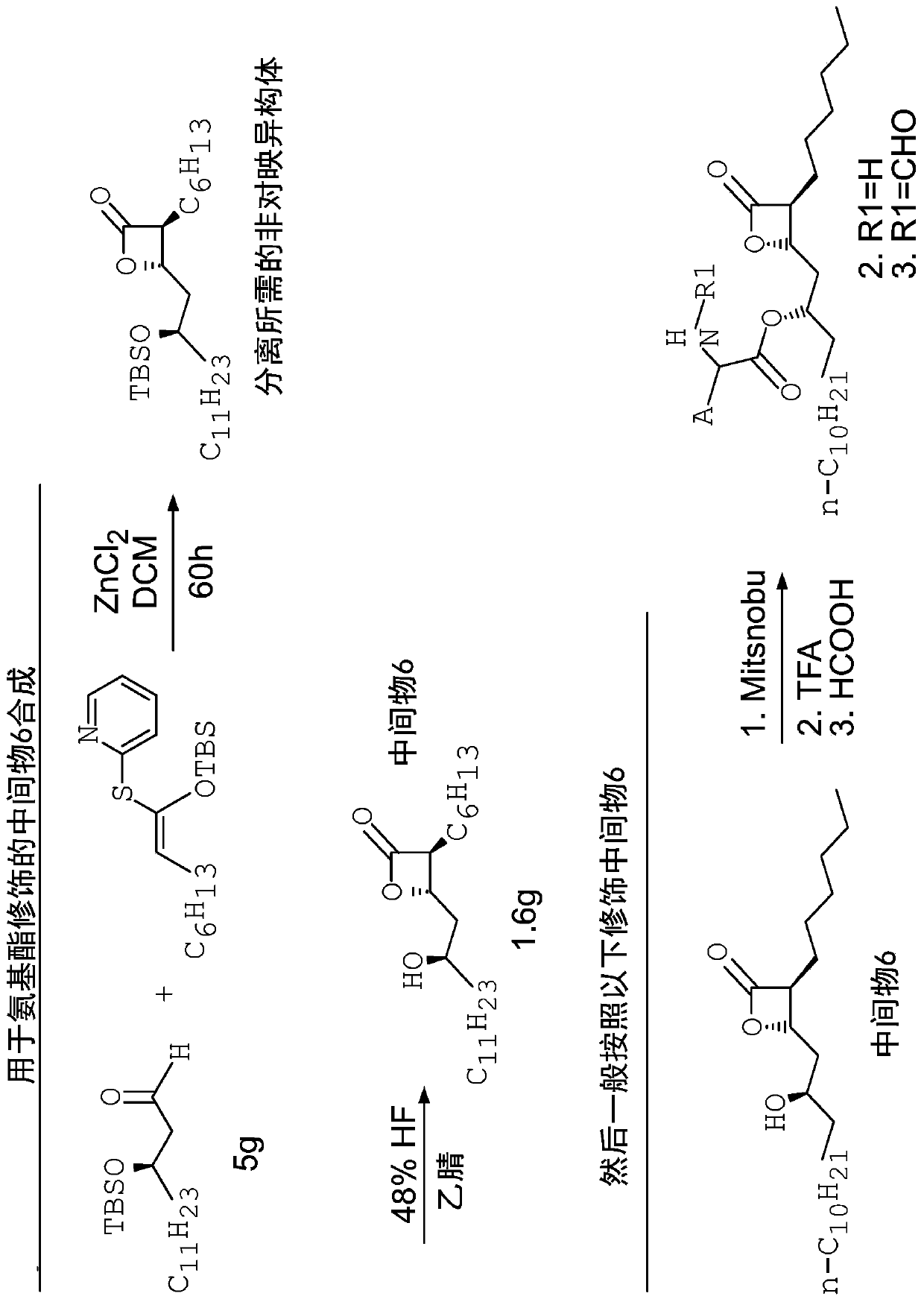 Compound for reducing lipotoxic damage