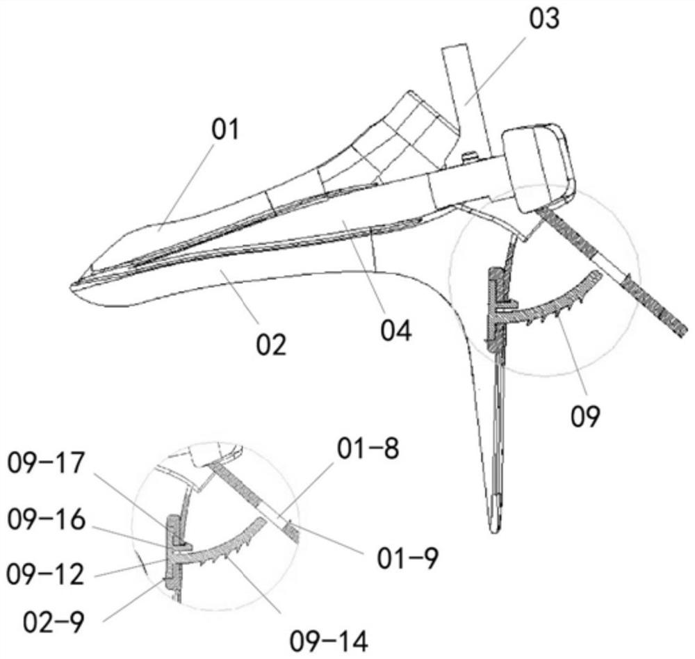 Four-wing vaginal dilator