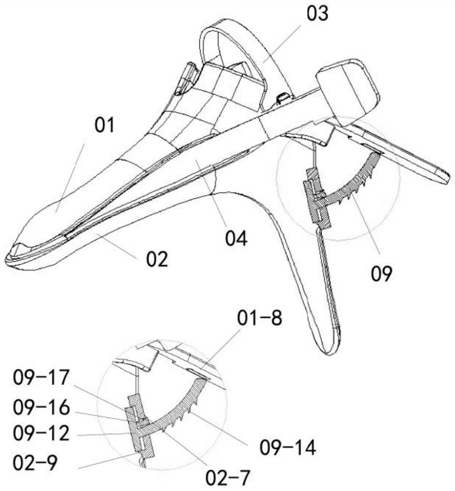 Four-wing vaginal dilator