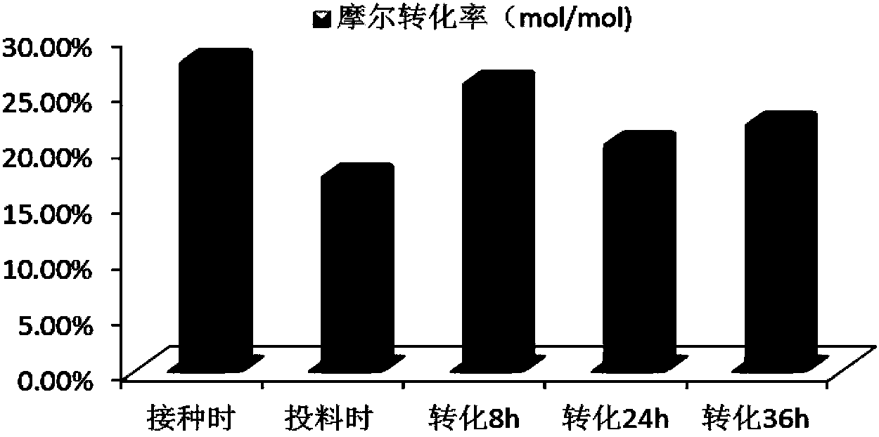 Preparation method for increasing CK (Compound K) yield of ginsenoside