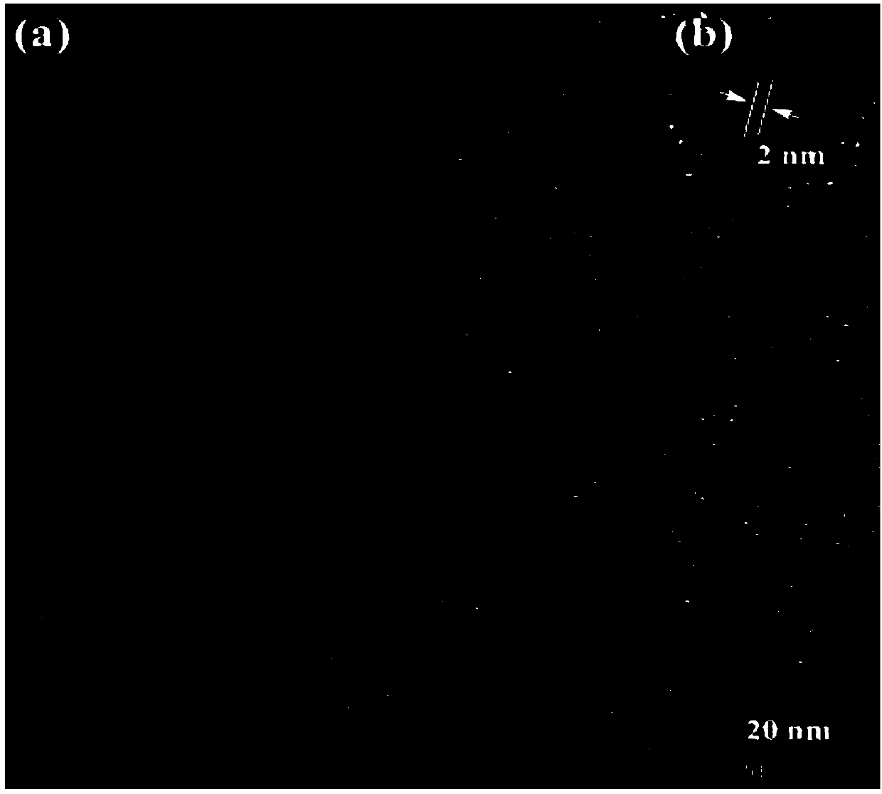 Synthesis method of CQD (carbon quantum dot) quaternary ammonium salt cationic surfactant