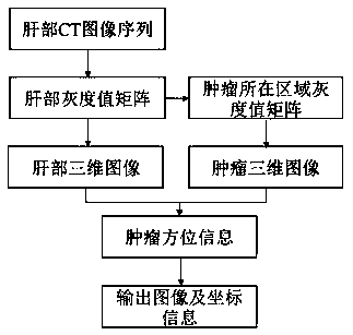 Tumor three-dimensional positioning system