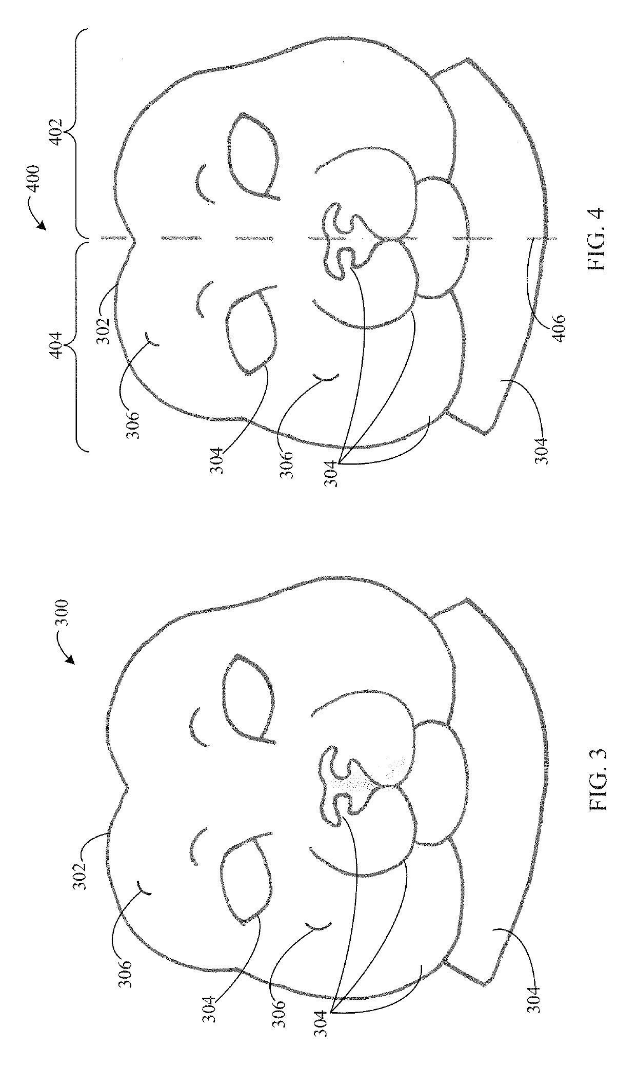 Method, system, and apparatus for biological model symmetry