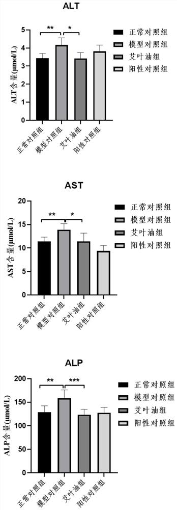 Application of folium artemisiae argyi essential oil in preparation of medicine for treating liver injury