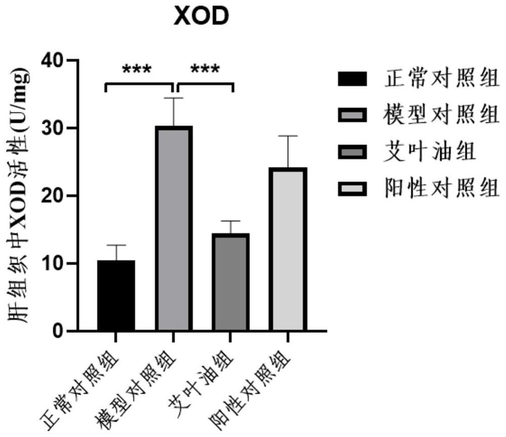 Application of folium artemisiae argyi essential oil in preparation of medicine for treating liver injury