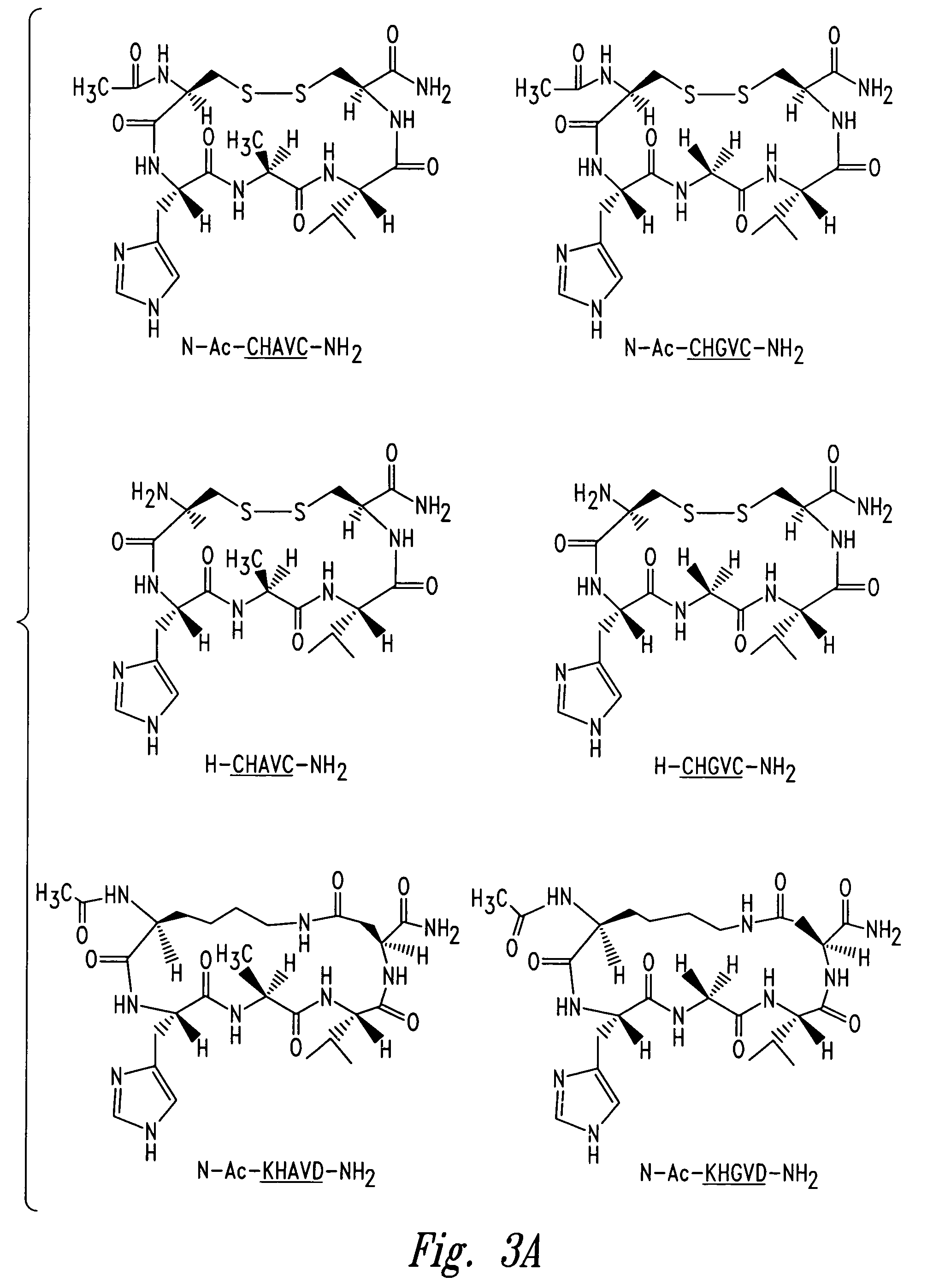 Peptidomimetic modulators of cell adhesion