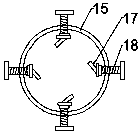 Fruit and vegetable automatic cleaning and peeling device