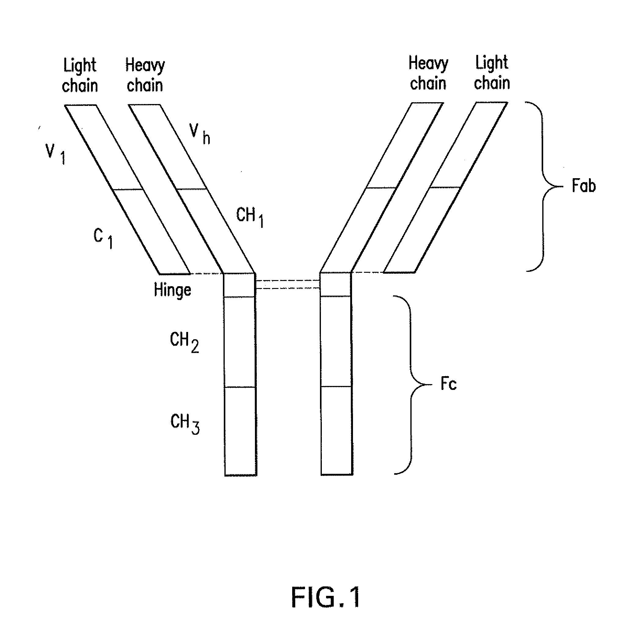 Pd-1 binding proteins