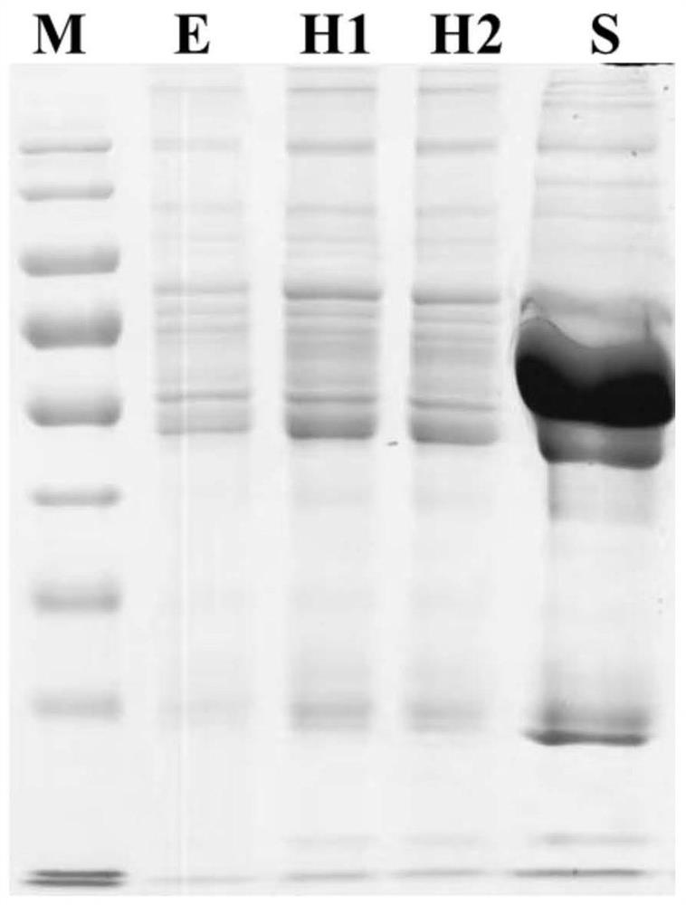 Novel serum/plasma proteome analysis method