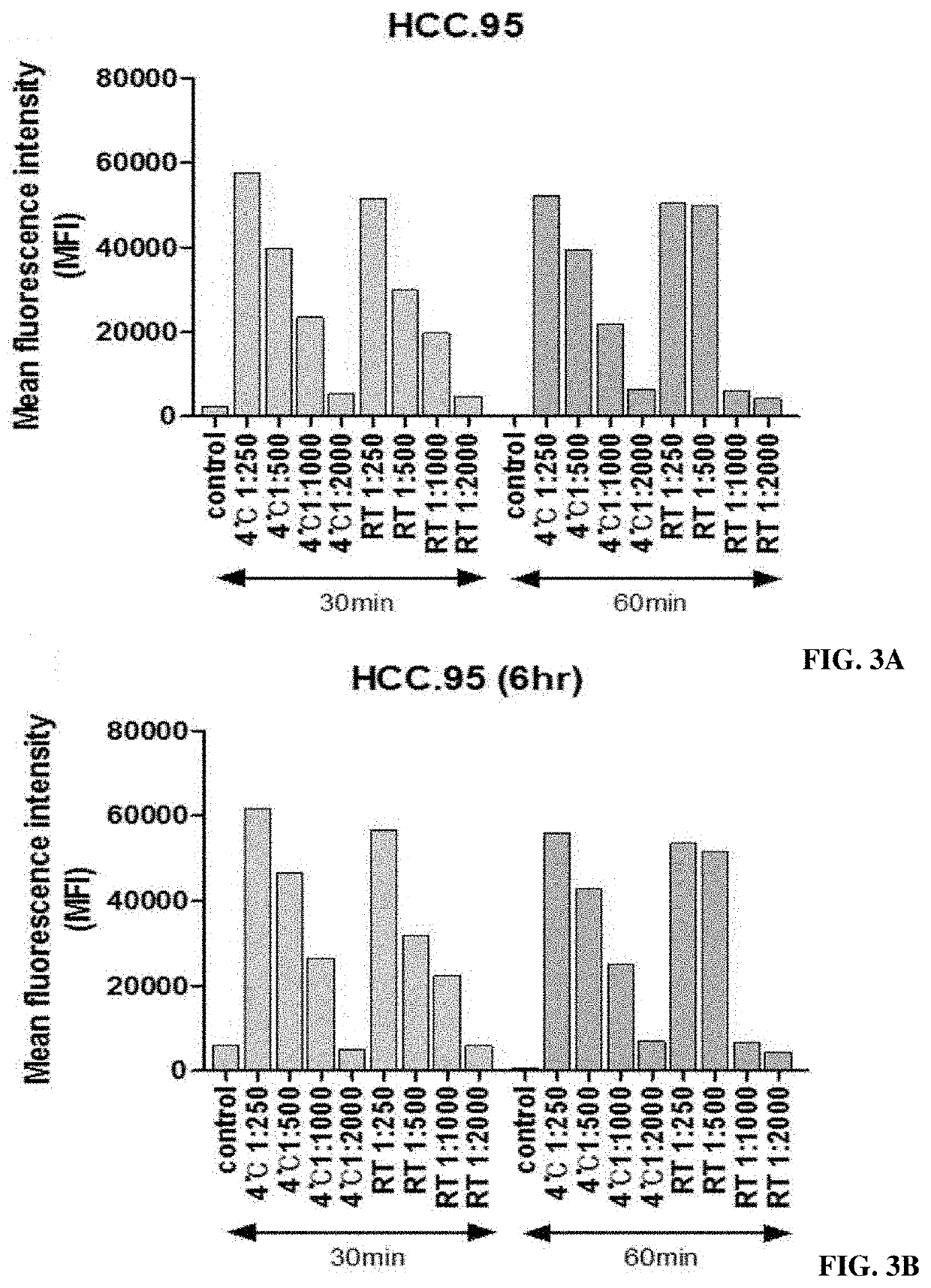 Magnetic-based biopanning method through attachment of magnetic bead to cell