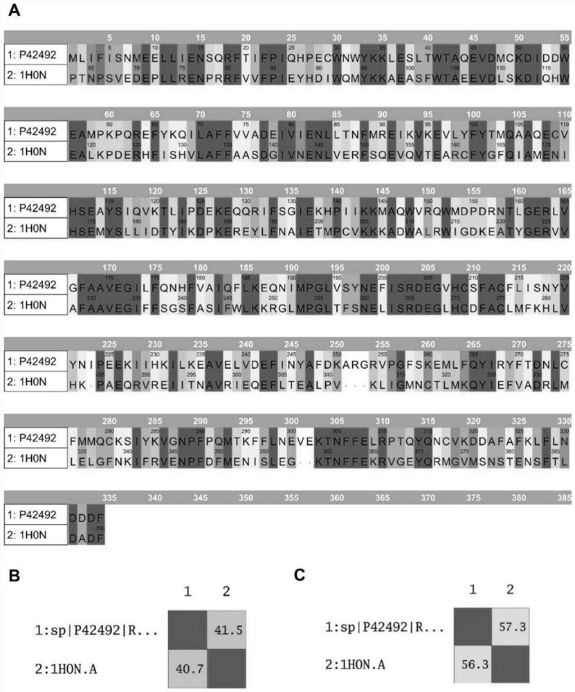 Application of Triapine in treating African swine fever virus infection