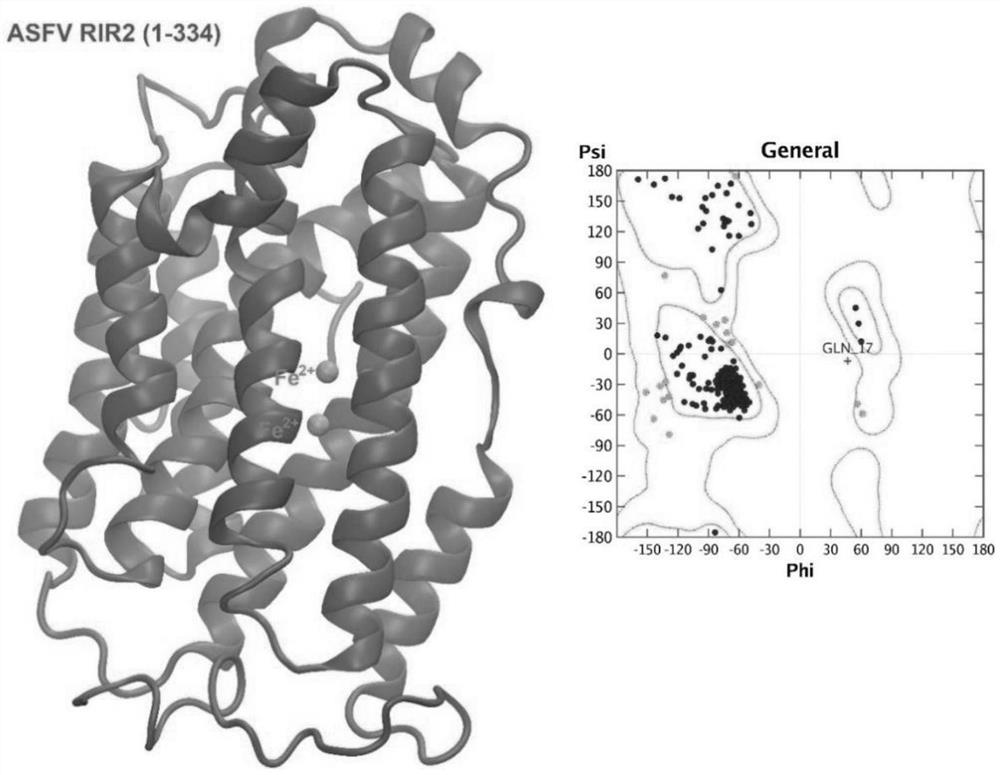 Application of Triapine in treating African swine fever virus infection