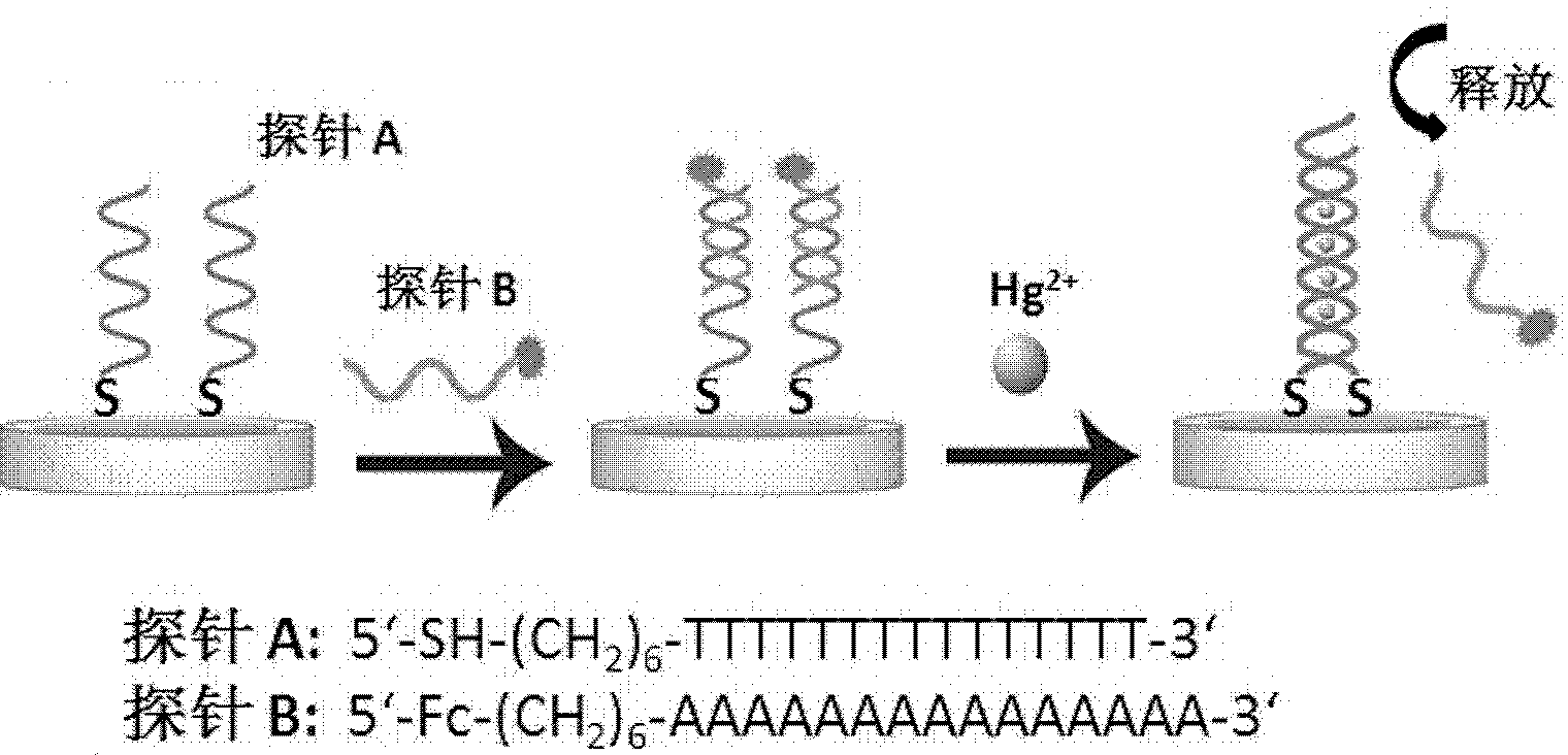 Electrochemical transducer for mercury ion detection and manufacturing method and detection method thereof