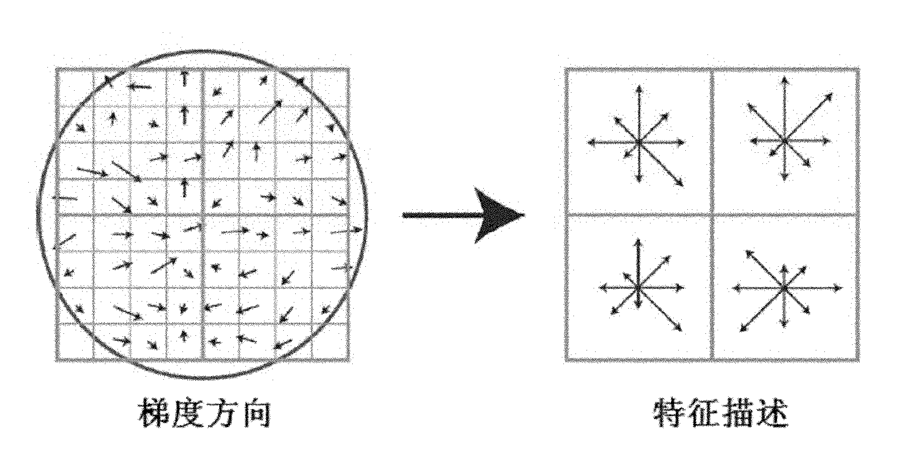 Image registration system and method thereof