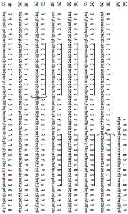 Hydrophilic domain protein gene