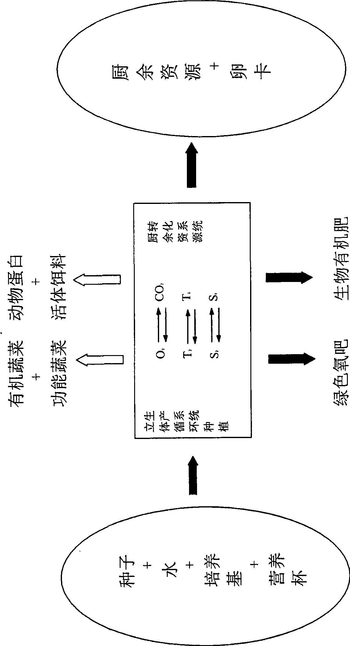 Family ecological cultivation technique and cultivation case