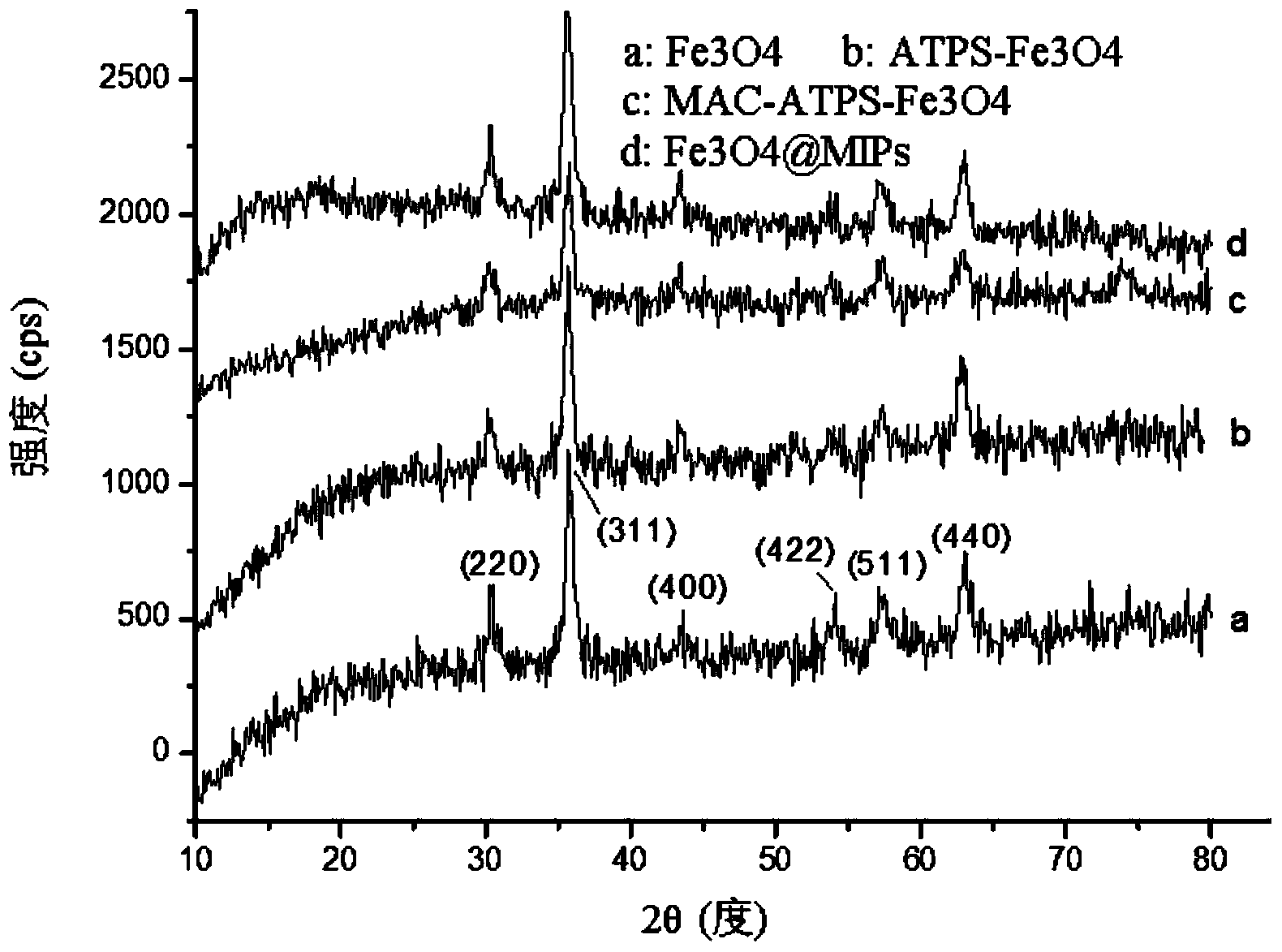 Preparation method of magnetic imprinted polymer for separating and purifying ractopamine