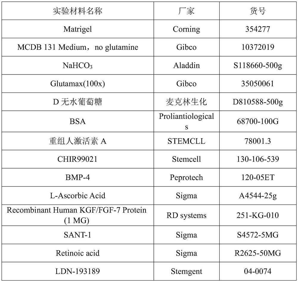 Induction method for promoting conversion of pancreas islet alpha cells into beta cells and application of induction method