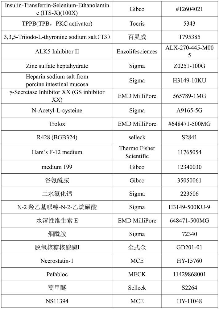 Induction method for promoting conversion of pancreas islet alpha cells into beta cells and application of induction method