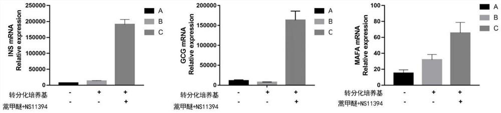 Induction method for promoting conversion of pancreas islet alpha cells into beta cells and application of induction method