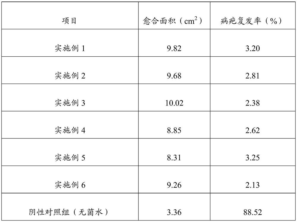 Fermented liquid of biocontrol bacteria for preventing and treating fruit tree rot and preparation method thereof