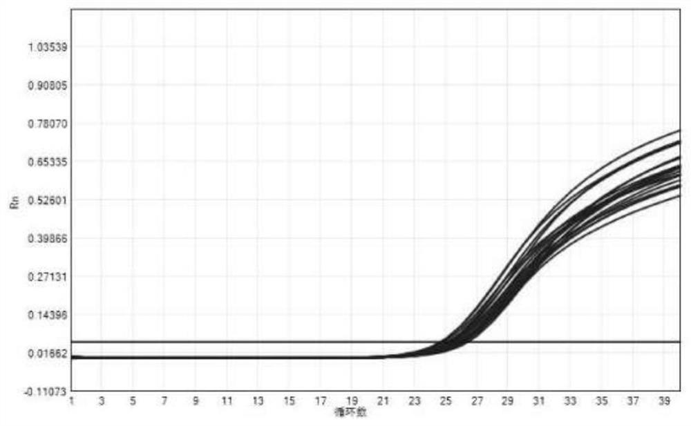 A real-time fluorescent quantitative detection kit and detection method for HBV DNA in serum