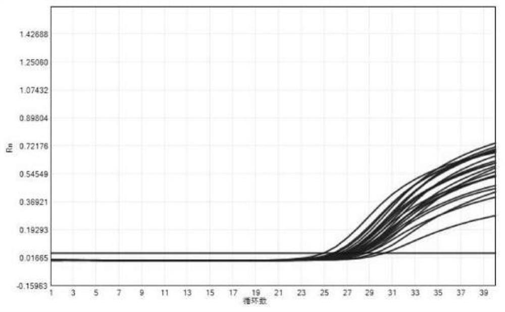 A real-time fluorescent quantitative detection kit and detection method for HBV DNA in serum