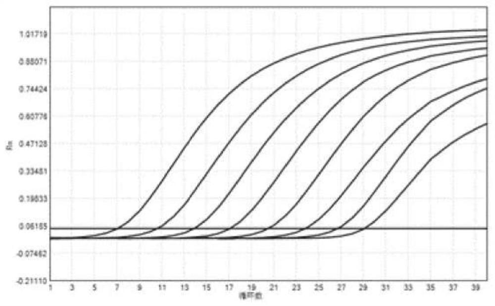 A real-time fluorescent quantitative detection kit and detection method for HBV DNA in serum