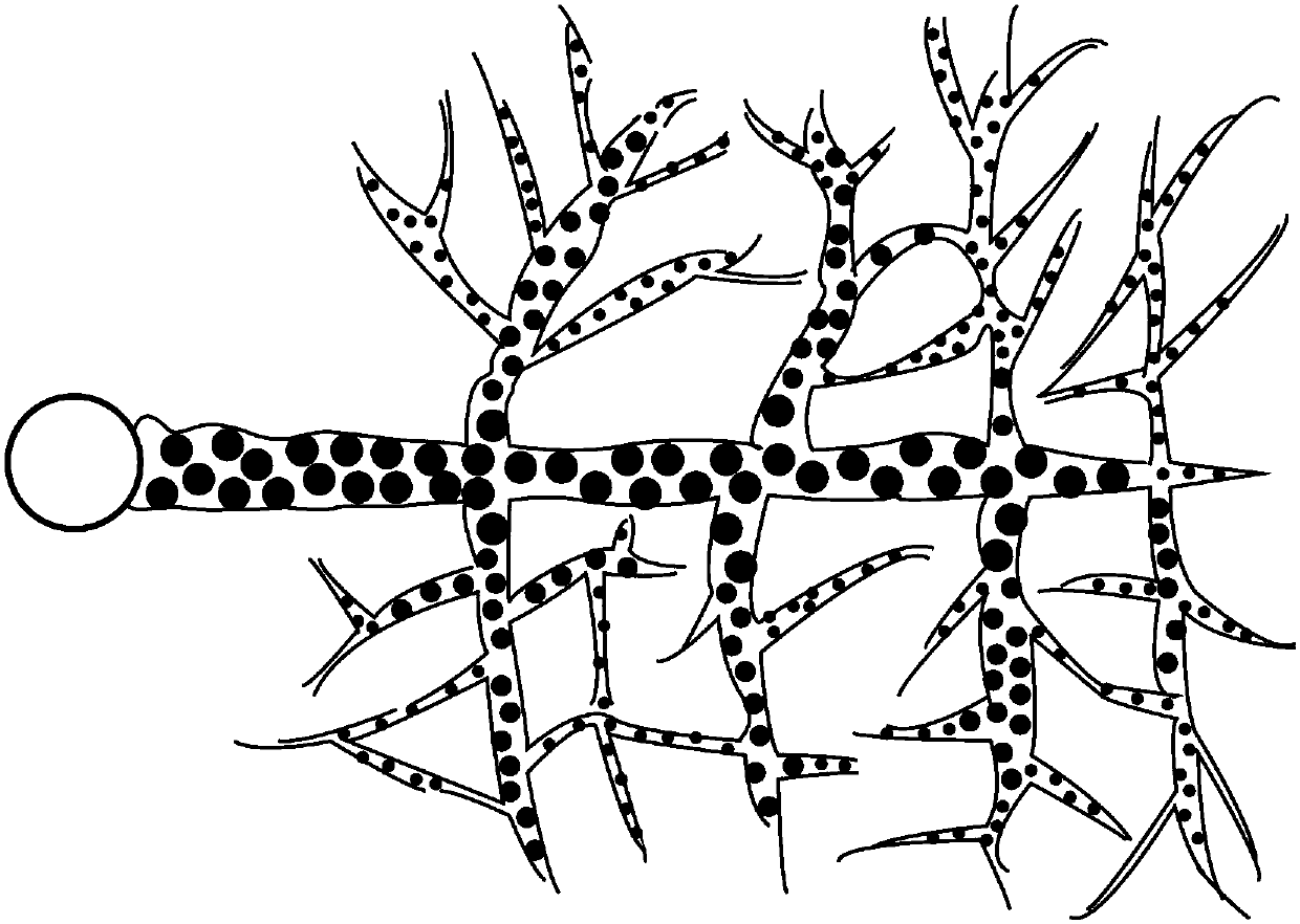 Fracturing method for increasing full-scale crack supporting volume of deep shale gas