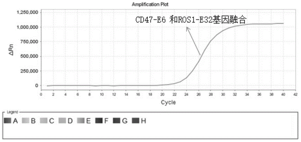 Detection kit for fusion mutation of ROS1 and various genes