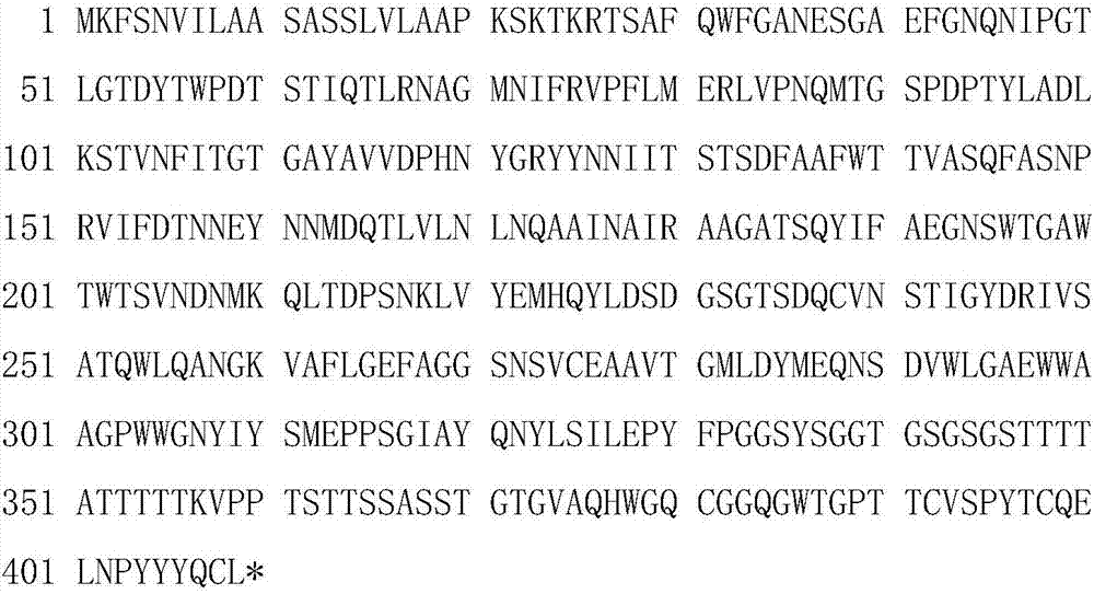 Acidic high-temperature-resistant cellulase Cel5 and gene and application thereof