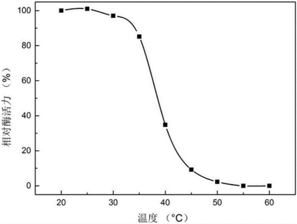 Cryogenic chitosanase and encoding gene and application thereof