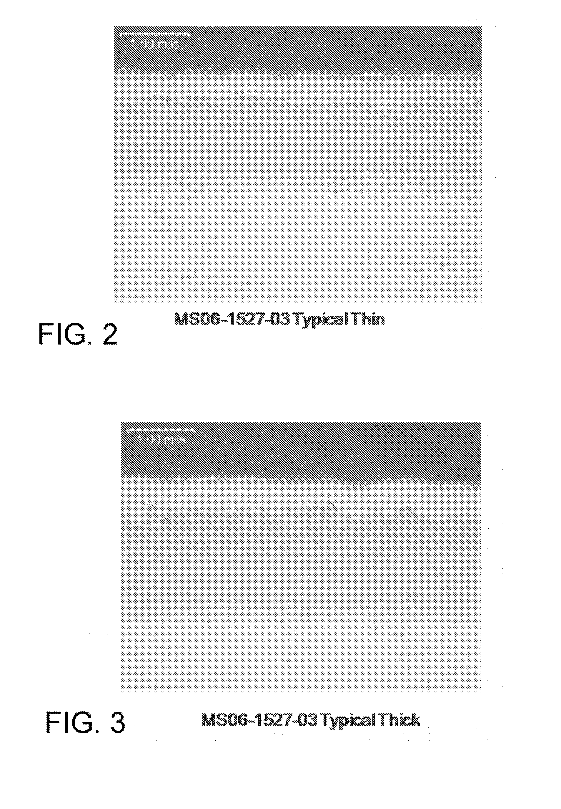 Slurry chromizing compositions