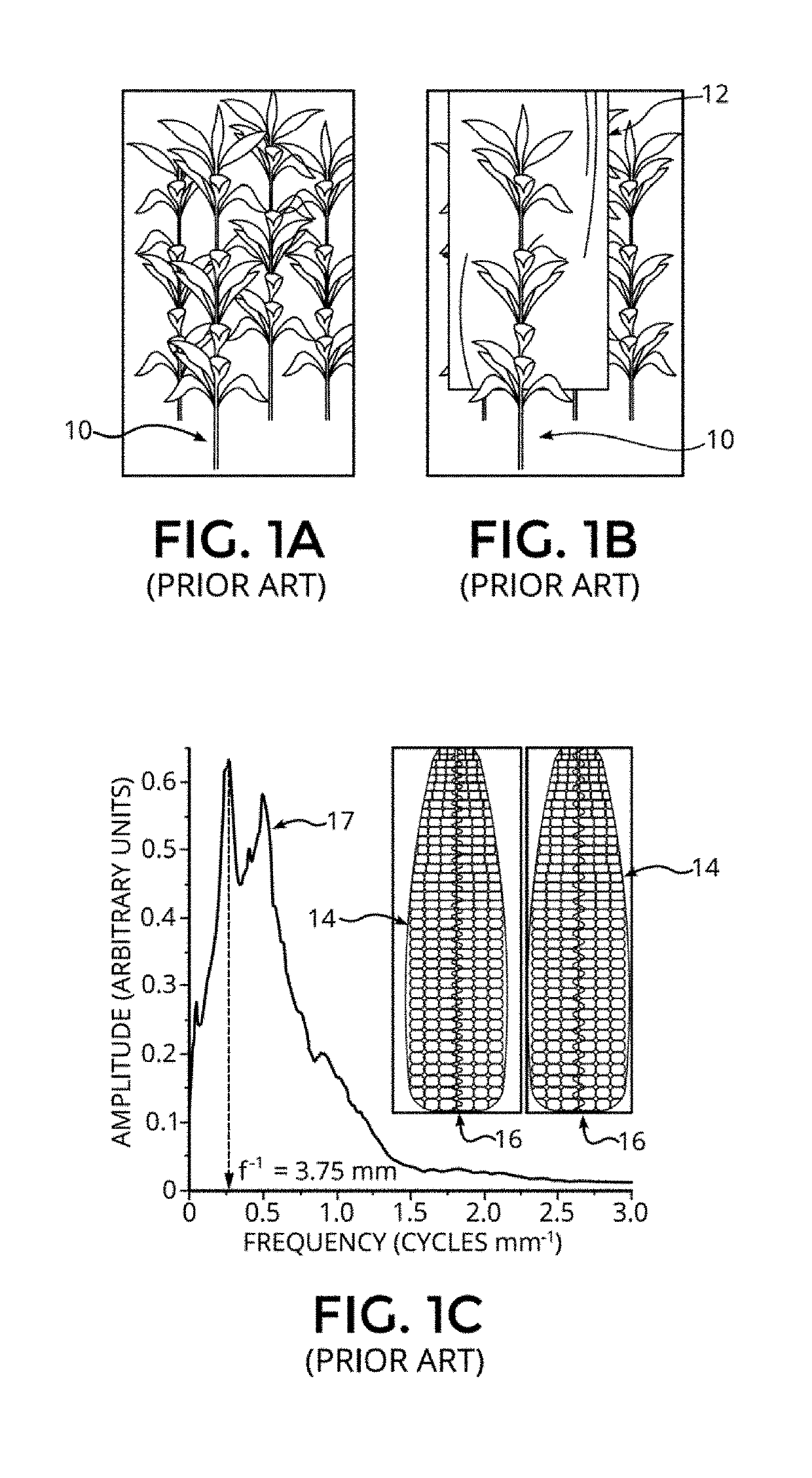 Plant phenotyping techniques using optical measurements, and associated systems and methods