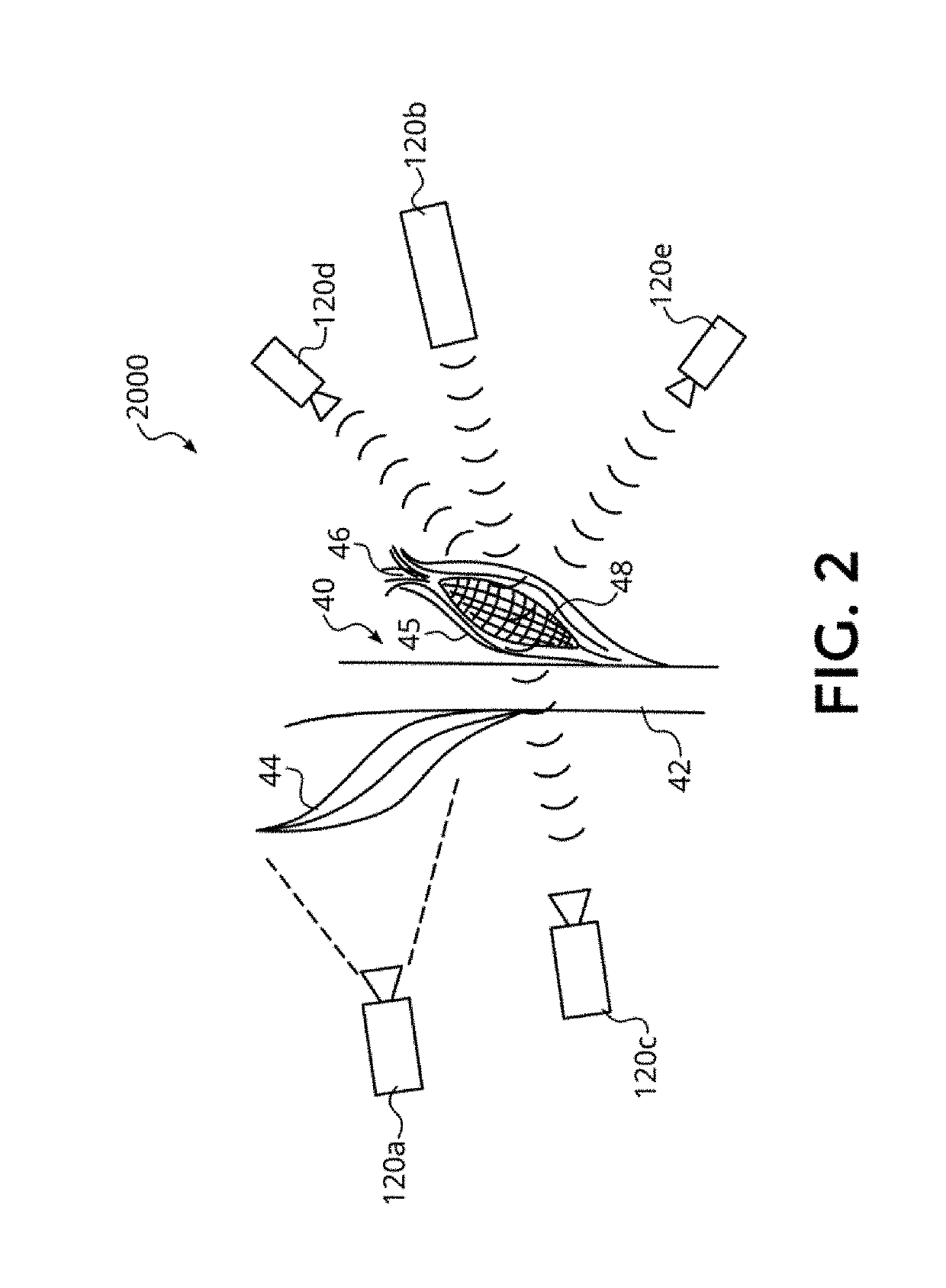 Plant phenotyping techniques using optical measurements, and associated systems and methods