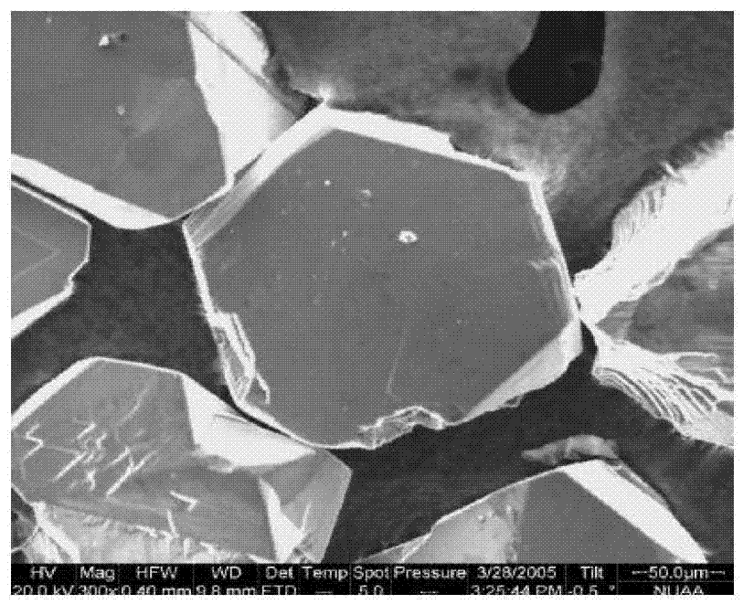 Cubic boron nitride fiber abrasive particles and preparation method thereof