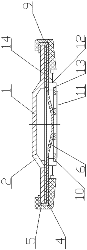 Explosion-proof and combustion-proof cap for power battery