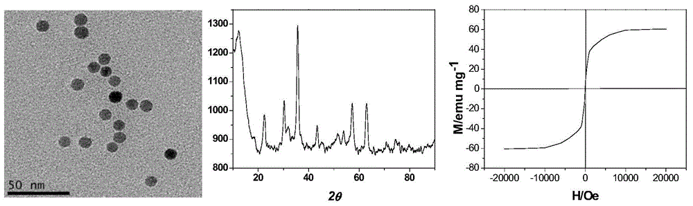 Preparation method of dye functional magnetic nano material and application in fluorescent sensing and magnetic separation of TNT