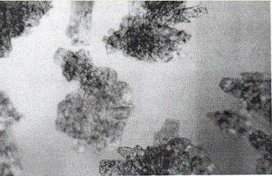 Preparation method of fudosteine crystals