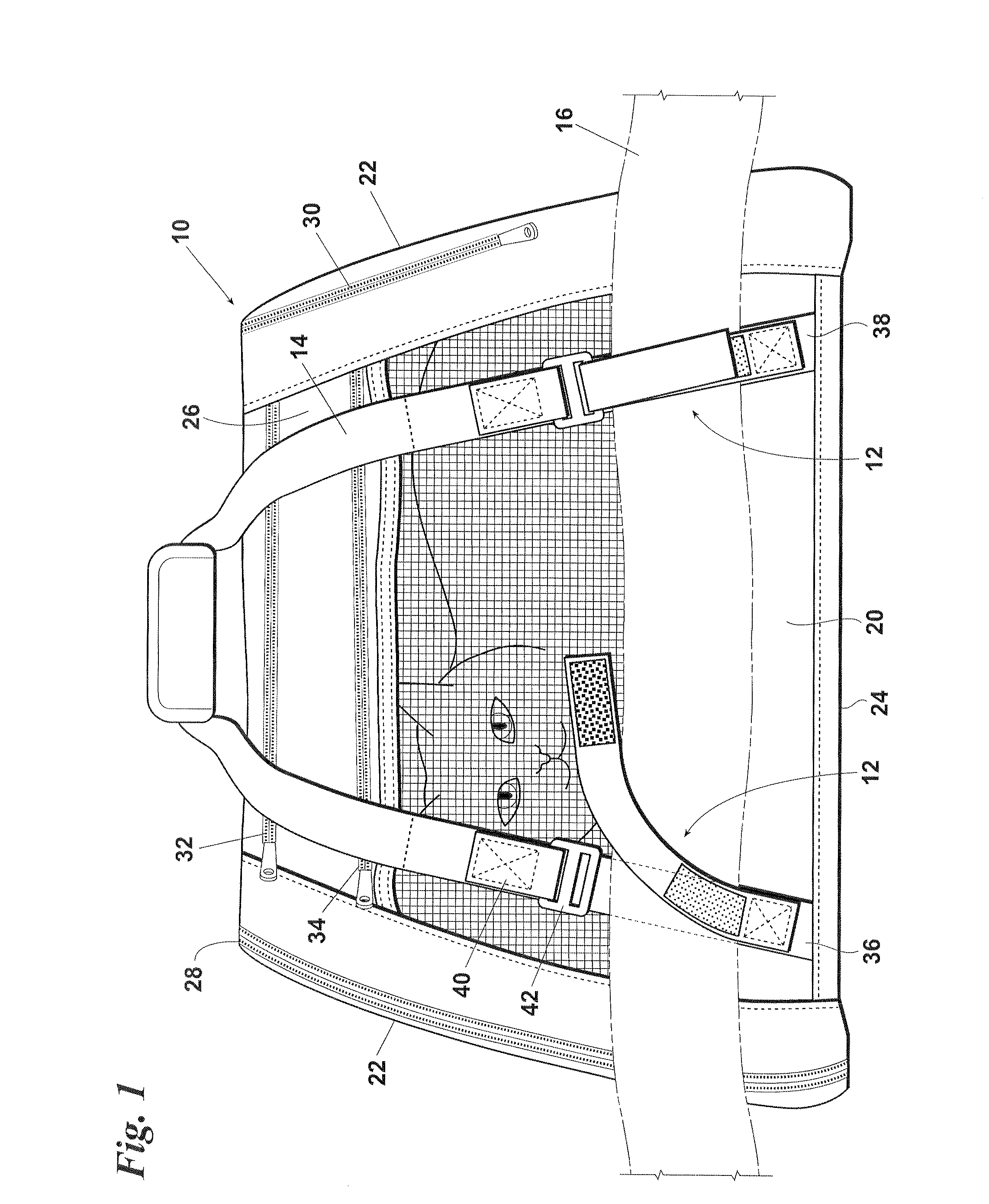 Seat belt loop system for a pet carrier