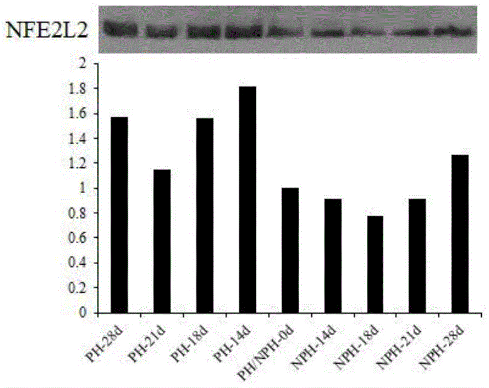 Differential protein in serum at early pregnancy stage of cow and application of differential protein