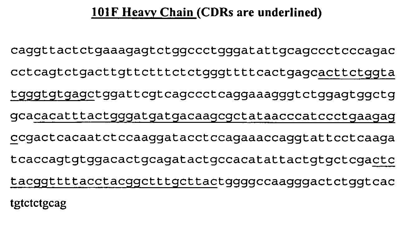 Anti-respiratory syncytial virus antibodies, antigens and uses thereof