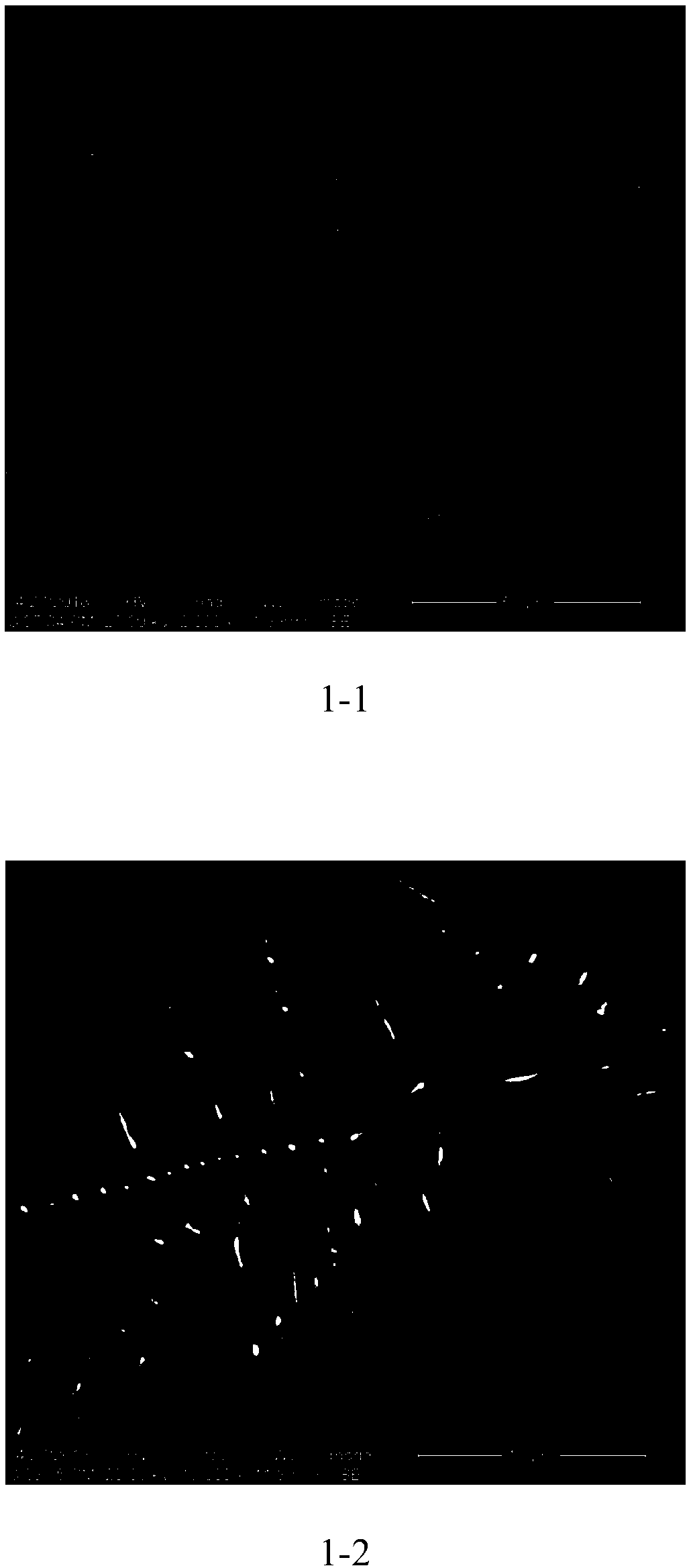 Copper nanowire and preparation method thereof