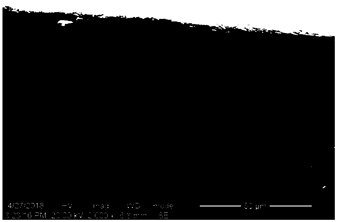 Copper nanowire and preparation method thereof