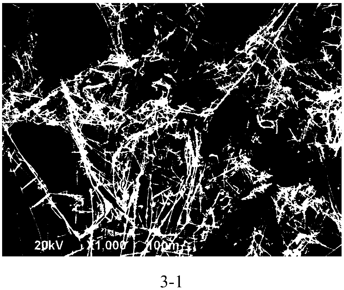 Copper nanowire and preparation method thereof