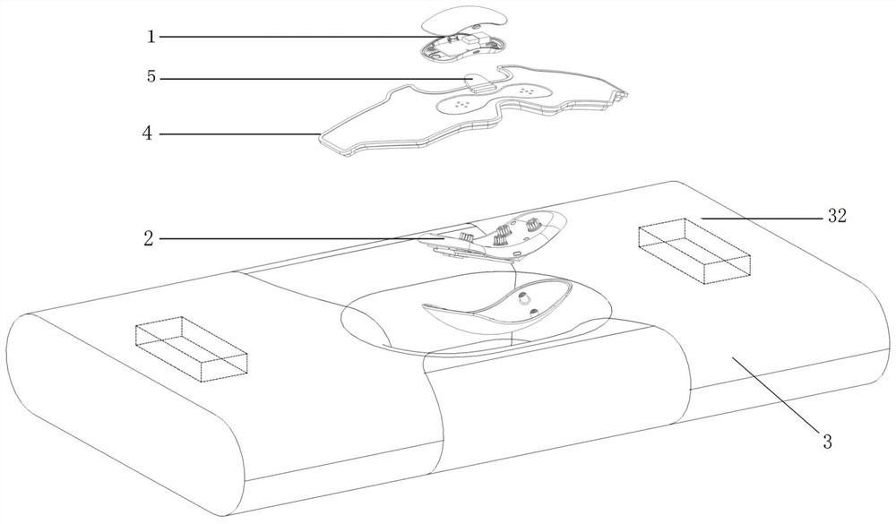 Wearable equipment for detecting brain waves